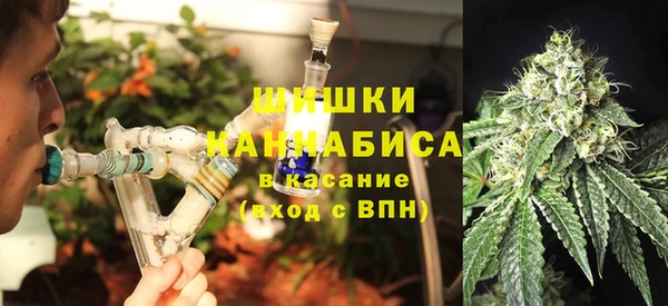 шишки Лихославль