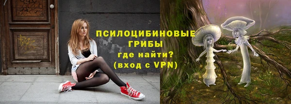 мдпв Липки