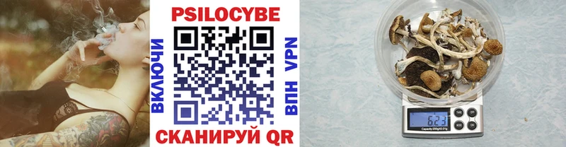 Галлюциногенные грибы ЛСД  что такое   Черняховск 