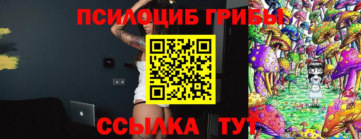 продажа наркотиков  Вход с VPN  Черняховск  Галлюциногенные грибы Cubensis  Псилоцибиновые грибы MAGIC MUSHROOMS 